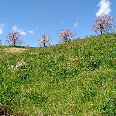 minato2530's profile picture. 無言フォロー失礼致します
宜しくお願いします🙇⤵️
趣味（TV、鬼滅中心アニメ、ミラソメミャクミャク等マスコット、ちいかわ、さすねこ等、食べ物etc)と愚痴ぼやきの吐き出しが主成分です
最近愚痴+推し活お迎え報告アカと化してます

公序良俗に反する内容や副業等勧誘目的と判断したアカウントはブロックします
ご了承下さい