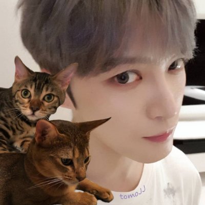 tomoJJ0922's profile picture. 🎼FAN ACCOUNT
☆JAEFANS☆BOSS BABIES☆
♡ジェジュン♡J-JUN♡재중♡ Jaejoong♡
2007年からジェジュン推し♥💚

Stray Kids❤スキズ ❤Felix💙필릭스💙ピリちゃん🐥ヨンボギ💙STAY