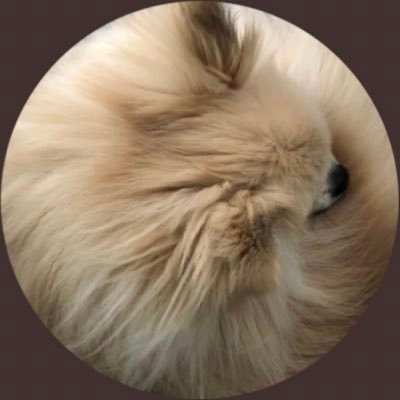 Pon-chan🥼さんのプロフィール画像