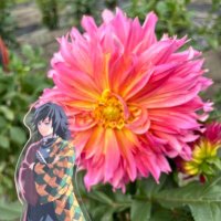 りん🍓🍑固定ツイ必読 (@yhcmdct2154) 's Twitter Profile Photo りん🍓🍑固定ツイ必読 (@yhcmdct2154) 's Twitter Profile Photo