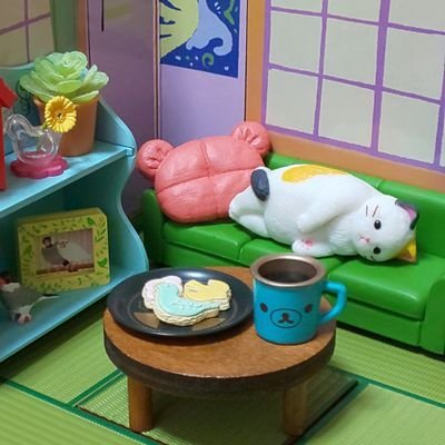 もっちきさんのプロフィール画像