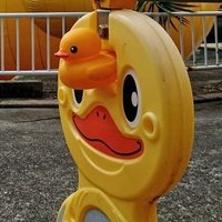 TTY (@tty1971) 's Twitter Profile Photo