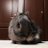 Queen_totoro419