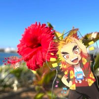 7🐇 (@rngk_kyo16) 's Twitter Profile Photo