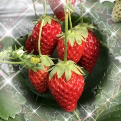 さゆぽん🍓🌷さんのプロフィール画像