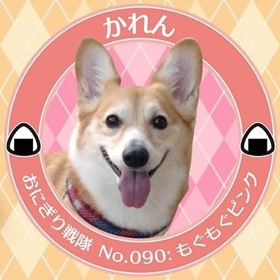 🐰うさぎのチロル君と
🐶コーギーのかれんさんを
こよなく愛する主婦です😊
よろしくお願いします!
このたび、かれんさんが🍙おにぎり戦隊🍙へ入隊させていただきました🐶🐾
No.90 もぐもぐピンク🍙
😌無言フォロー失礼します😌