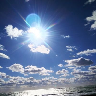 giyutanrom's profile picture. 無言フォローごめんなさい 全くの無言です。

ずっと昔に成人済みです