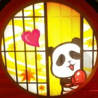 コパン🐼🐾 (@kopanda_love_) Twitter profile photo