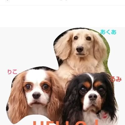 ゆいなん🍊🍅さんのプロフィール画像