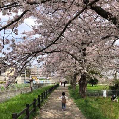 akira_tabris's profile picture. ドラクエウォークが主戦です。ポケモンGOは本気出して無いです。