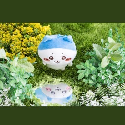 デデピカと申します💫40↑関東/鬼滅🔥🎴ちいかわ(ハチワレシーサー)♡ポケモン(デデ様)最推しです♡お取引の際はツィフィ一読お願い致します🙇♀️お手渡し▶︎未定