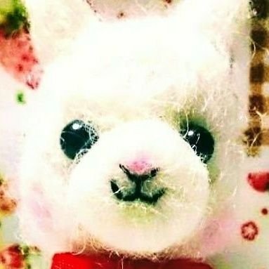 れごん🦙さんのプロフィール画像