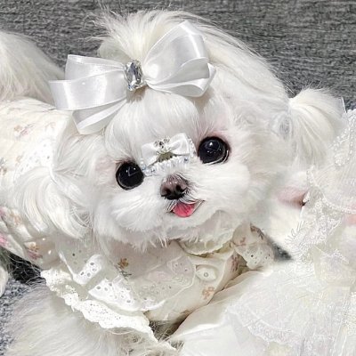 haslinaomarina's profile picture. You can win or lose, but you can't give in.