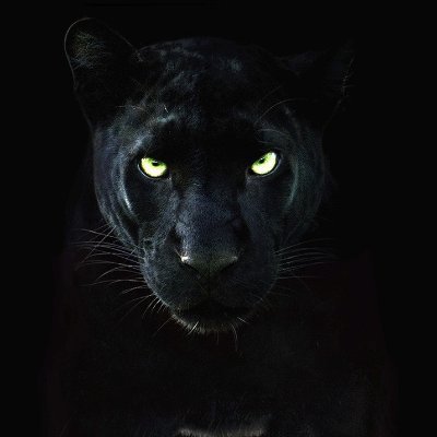 Ondemand2024's profile picture. Sia. Security officers  manned guarding. Event security. Mobile Patrols