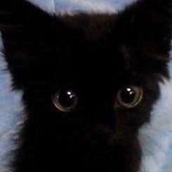 cocoさんのプロフィール画像