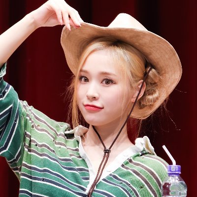 Foxcam0203's profile picture. Foxcam🦊