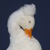 Jax - Backyard Wildlife Photography (@naturephotos55) Twitter profile photo Jax - Backyard Wildlife Photography (@naturephotos55) Twitter profile photo