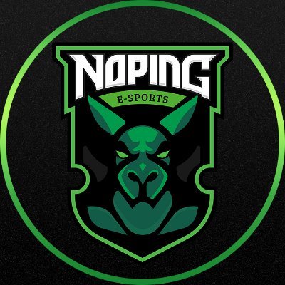 NoPingEsports Profile Picture