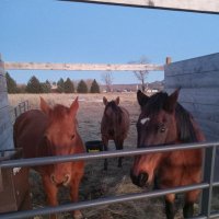 big country. (@darrylsback24) 's Twitter Profile
