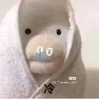 sheep1883718's profile picture. 