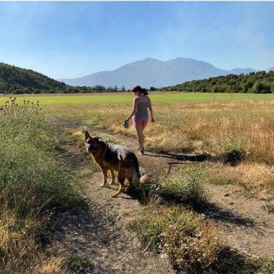 DamoreValeria's profile picture. 