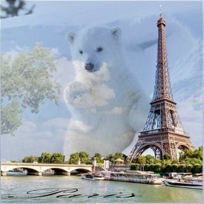 JosianePreaux's profile picture. 