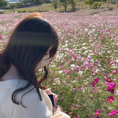 pi__60's profile picture. 