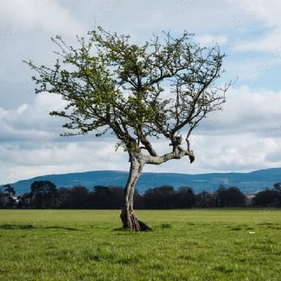 Sin Biografía