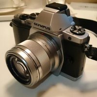 にょほ🌻 (@nyoppo) 's Twitter Profile Photo