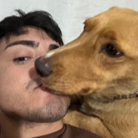 ima (@imagomeez) 's Twitter Profile