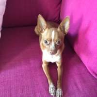 Frugan (@fruganfrugan) 's Twitter Profile