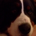 Baker (@datumrich) Twitter profile photo Baker (@datumrich) Twitter profile photo