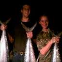 nick cuccia - @islandkid92 - Twitter