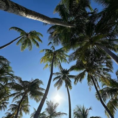 ﴿ قُلِ الْحَمْدُ لِلَّهِ ﴾ رحم الله اول هزائمي بالحياة و أعظم خسائري اللهمّ إرحم والدي حبيبي و اجعل الجنة داره و مستقره .