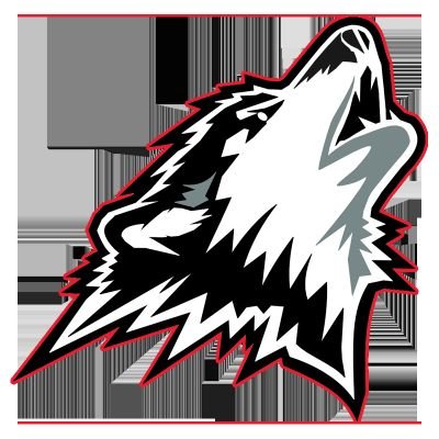 Annonceur-maison pour les @HuskiesRN, chargé de cours @UQAT et enseignant au secondaire 👨🏫🔴⚫️⚪️