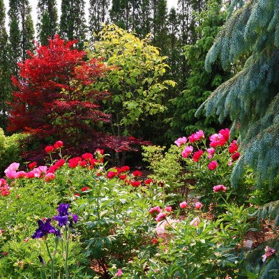 Visit our horticultural playground & retail/wholesale garden centre! AWARDS/RECOGNITION ●Federal Medal Recipient ●National ●Provincal ●Municipal