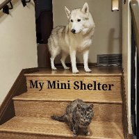 My Mini Shelter(@MyMiniShelter) 's Twitter Profile Photo
