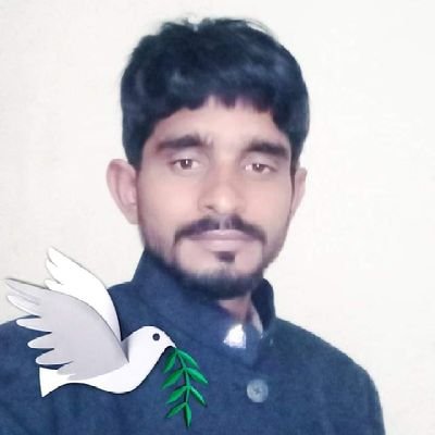 Hi friend.