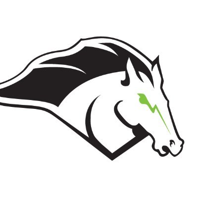 @MSCMustangs