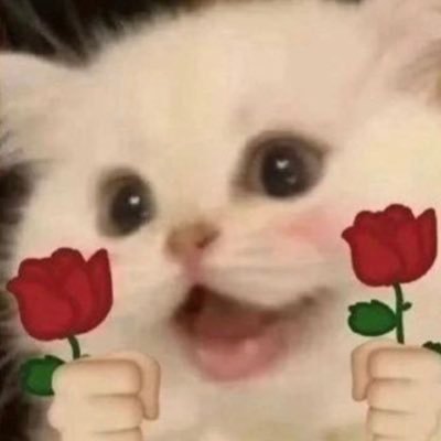 pani_katerynka's profile picture. не пишіть мені р*сійською