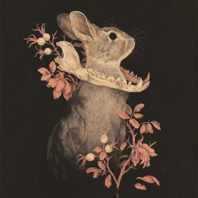 ☾ She/Fae/It ⋆ ΘΔ ☽ ⋆ 26 ⋆ The Dog In The Metaphorical Her ⋆ Talking on here is scary :(