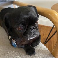 Marilyn Barber (@marilyn00645678) 's Twitter Profile Photo Marilyn Barber (@marilyn00645678) 's Twitter Profile Photo