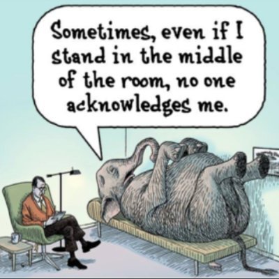 A metaphorical elephant represents an obvious problem or difficult situation that people do not want to acknowledge or talk about.