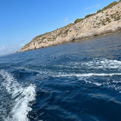 Marcotendo1's profile picture. 