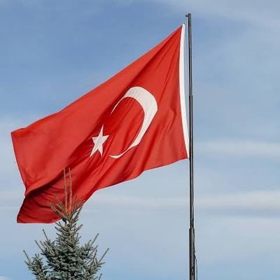 Bayrakları Bayrak Yapan Üstündeki Kandır Eğer Uğrunda Ölen Varsa Vatandır.