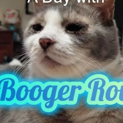 BoogerRoux the 2020 winner of America's Favorite Pet Contest 

Pet Supplies - PayPal @ BoogerRoux@gmail.com 🙏🏻