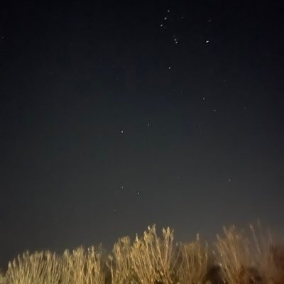 RobertJuarez93's profile picture. 