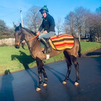 CLR Racing. Chloe Roddick & Philip Maloney. Standing thoroughbred stallion ARRIGO at stud. Pre Training and stud services