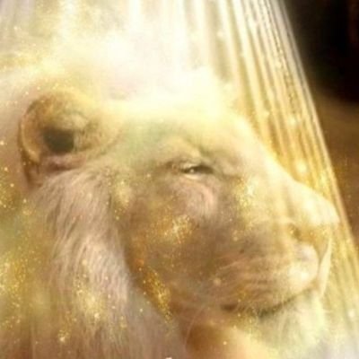 The INFJ Advocate