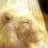 Shelli_1111's profile image